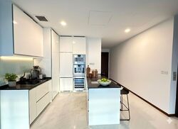 The Scotts Tower (D9), Condominium #498730381
